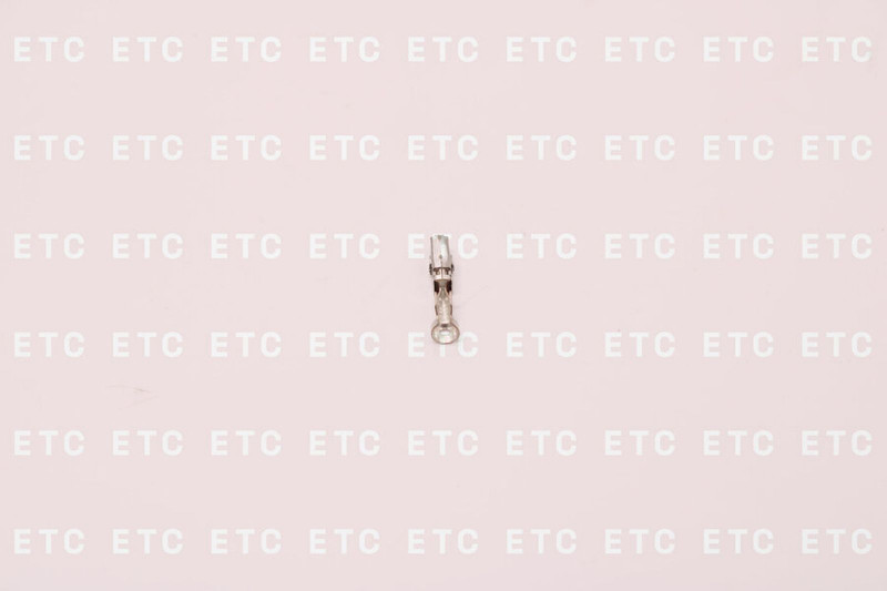 00558198007 Наконечник — 1