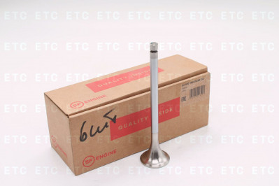 01100190DC9002 Клапан выпускной 45 градусов