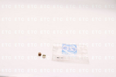 ZF 5840333132 Заглушка