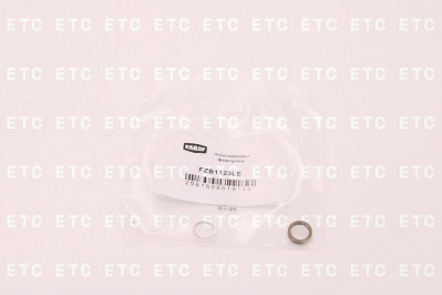 FZB1123LE Ремкомплект форсунки