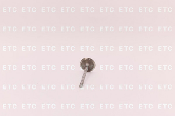 6N9916 Клапан выпускной — 4