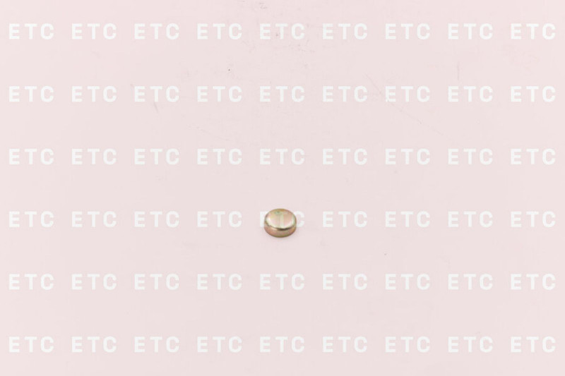 3945095 Заглушка головки блока цилиндров 13мм ISL, ISB — 1