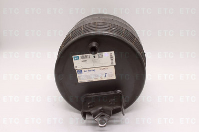 DT 262431 Пневморессора подвески