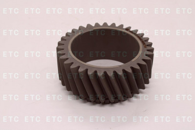 188530617K Шестерня 31 T.